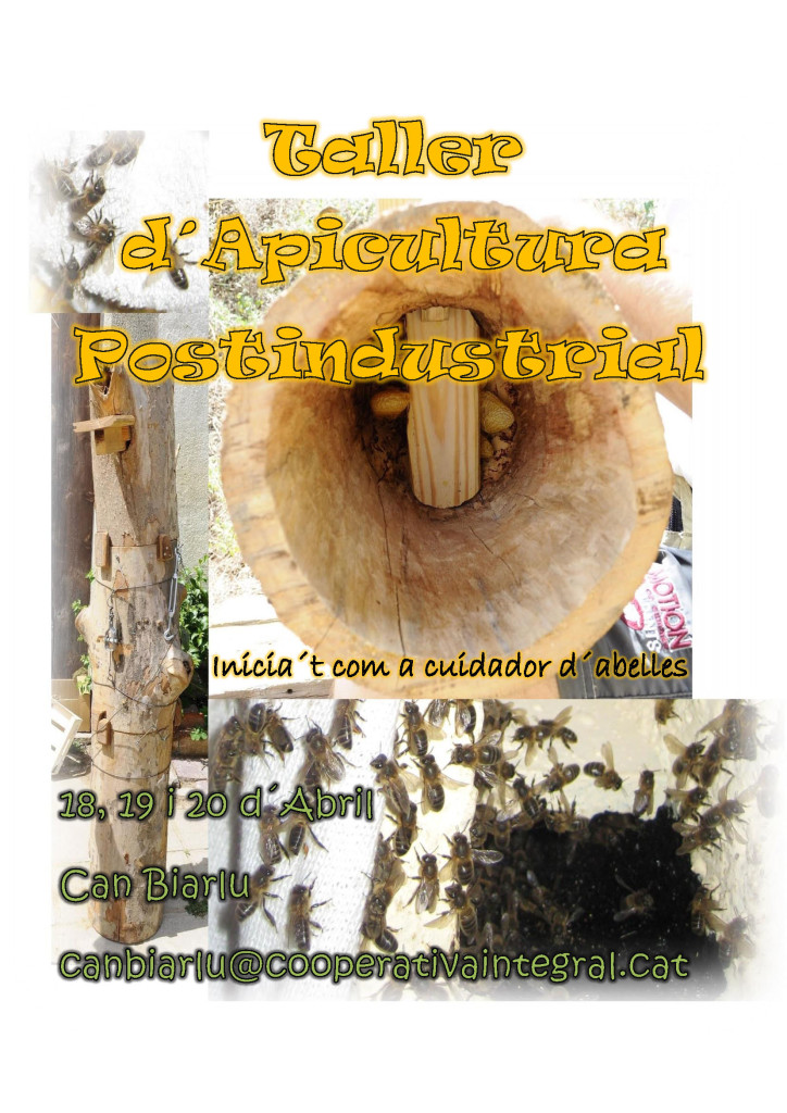 Taller apicultura