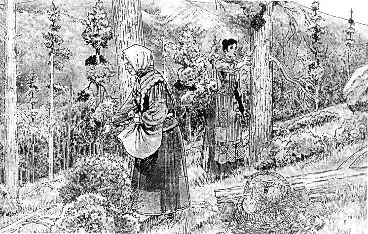 Trementinaires recollin les herbes al bosc (Dibuix d'Oriol Garcia i Quera).